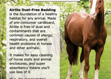Horse standing next to Airlite bedding advertisement.