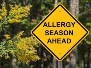 A yellow sign that says allergy season ahead.