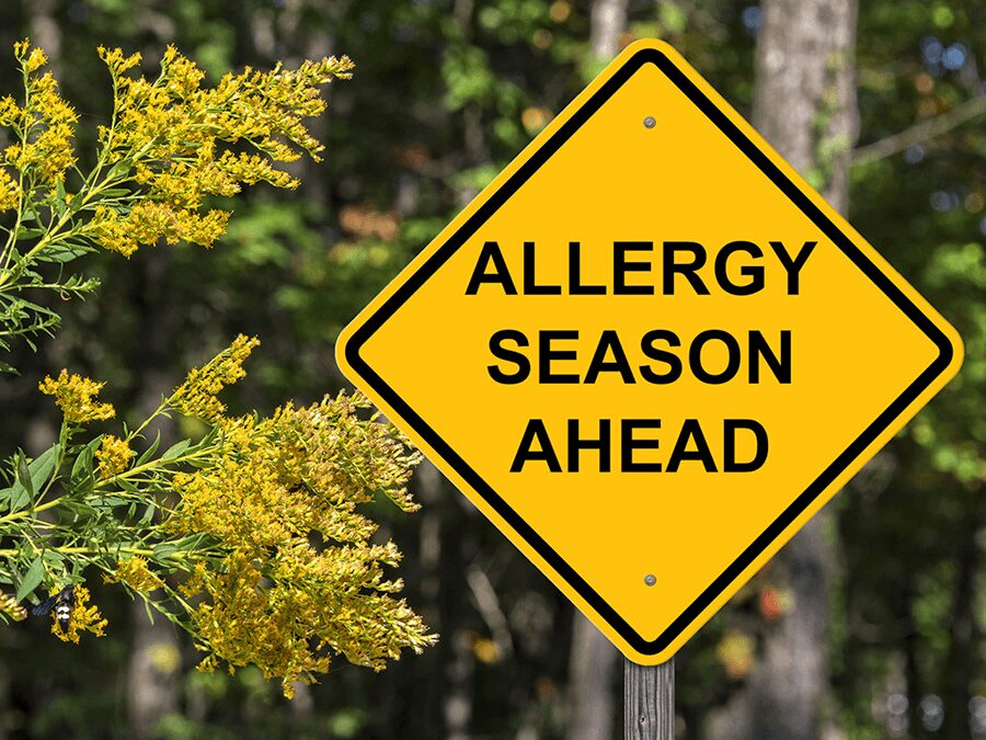 A yellow sign that says allergy season ahead.