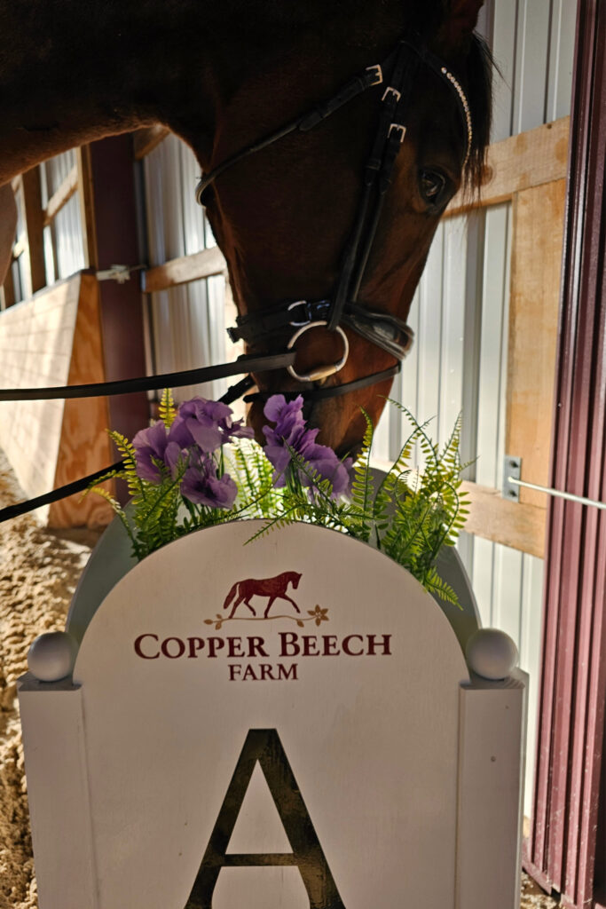 Copper Beech sign with horse nuzzling flowers