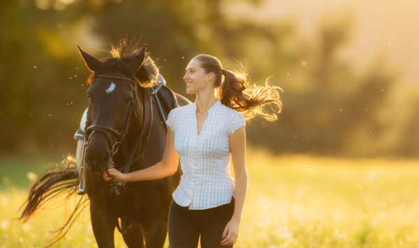 hot weather horse health tips