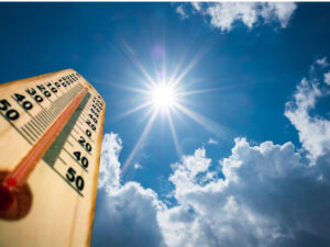 Hot weather horse health tips