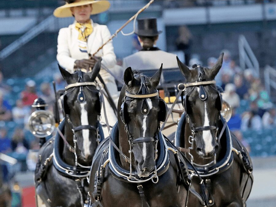 A woman in white jacket riding on the back of three black horses.