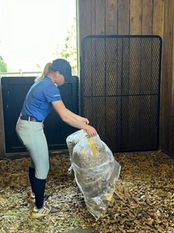 Airlite cardboard bedding in a stall