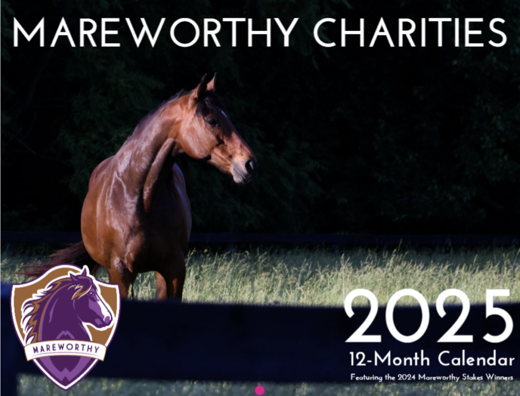 Mareworthy's 2025 Calendar is a great way to help these horses.