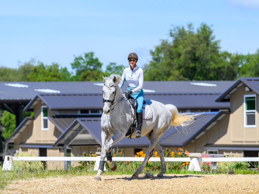 Sustainable Horsekeeping at Flying Change Farms