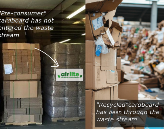 Pre-consumer vs recycled cardboard