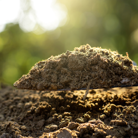 Composted manure can be gardener's gold
