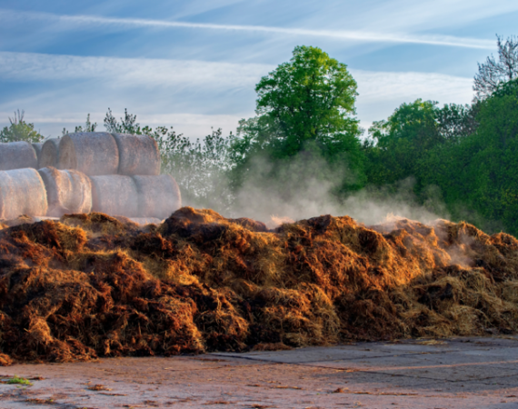 manure composting pile with hay bales