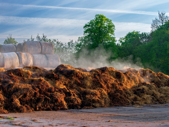 manure composting pile with hay bales