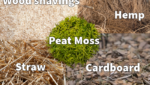 The Evolution of animal bedding