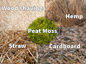 The Evolution of animal bedding