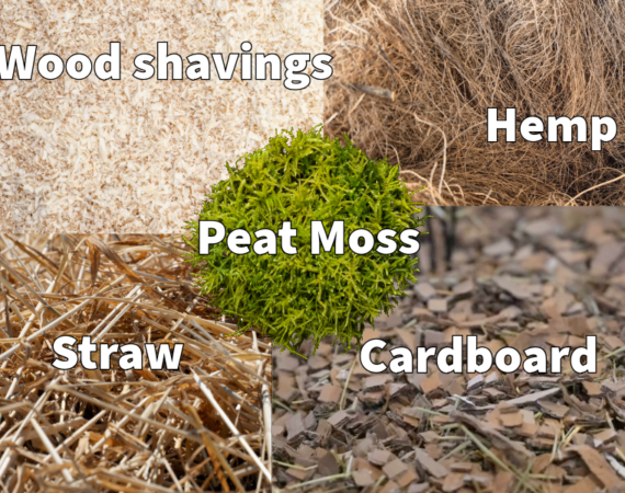 The Evolution of animal bedding
