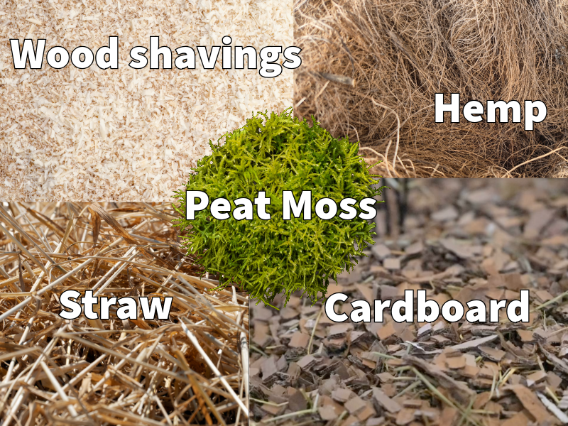 The Evolution of animal bedding
