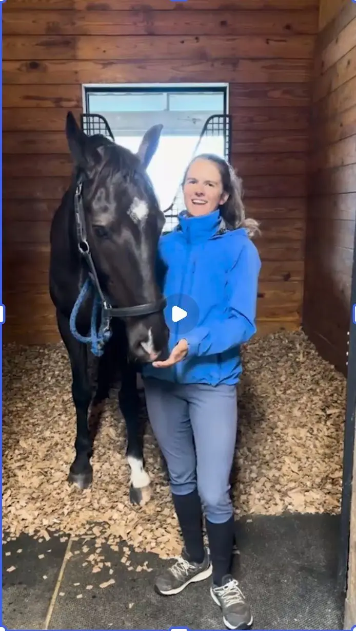 Gabby Dickerson with Traditionally Fernhill in his stall bedded with Airlite cardboard bedding